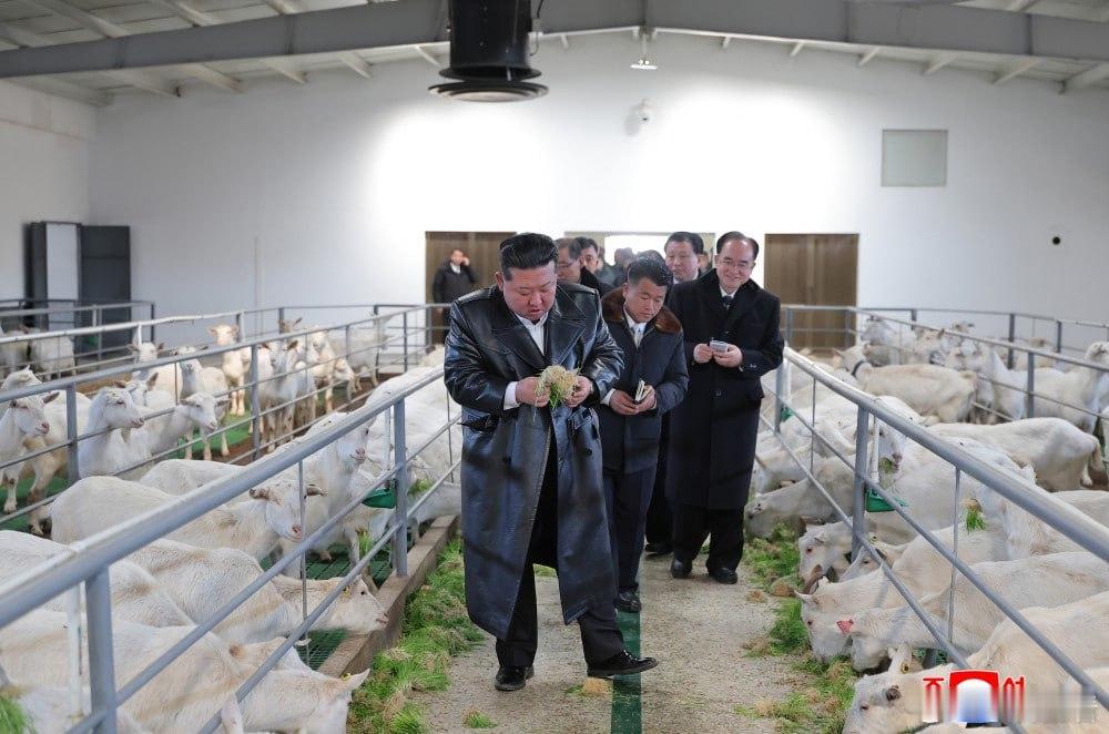 金正恩出席三光畜产农场投产仪式，金正恩向当地居民致以问候，祝贺他们在出色转变成为