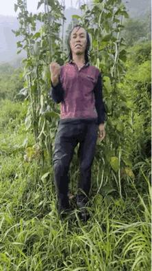 修成了个啥？豆角子战神？[？？？]