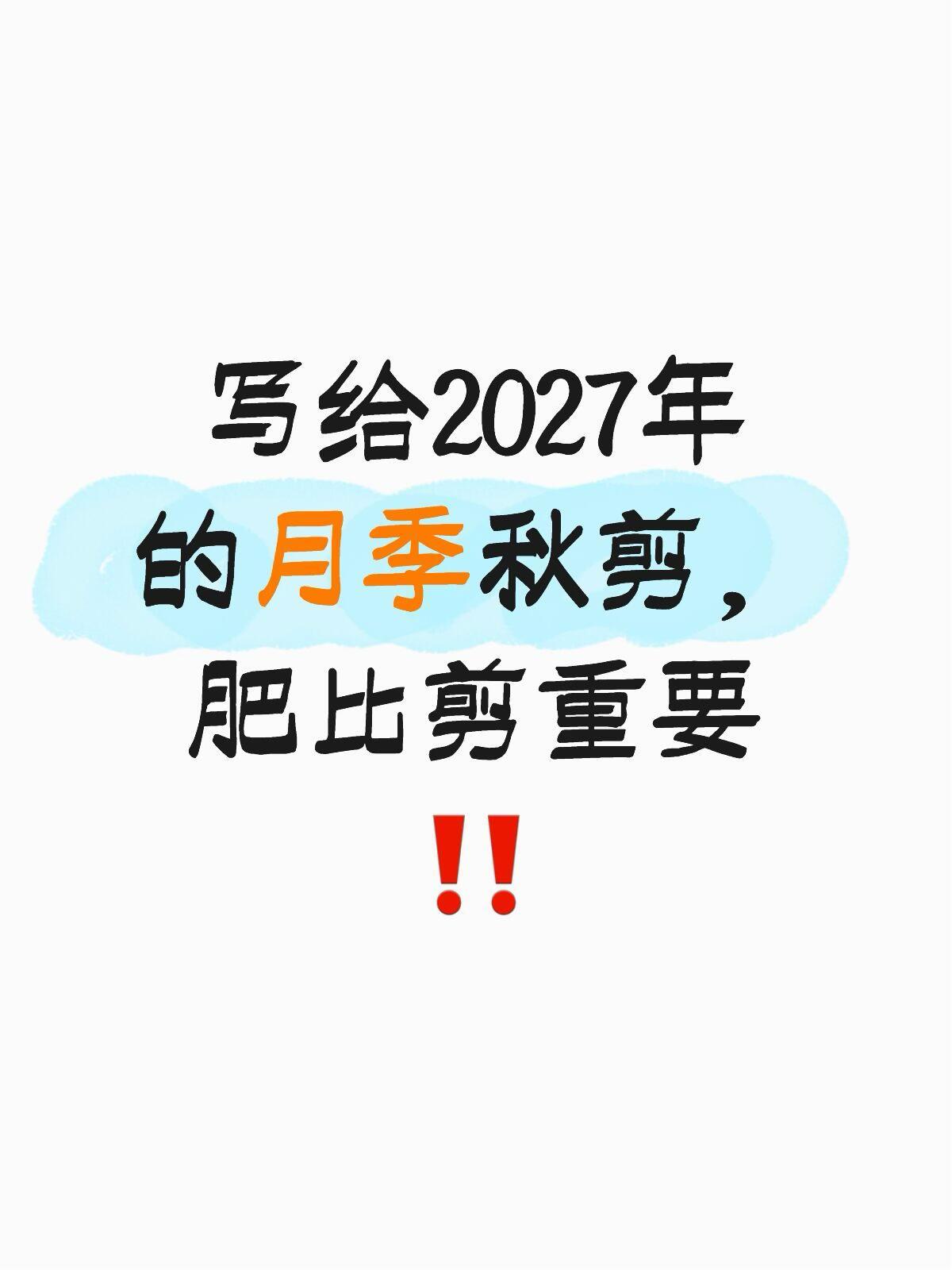 今年很多花友因为各种事情耽搁，月季秋肥、秋剪都迟迟没有动手，包括我自己的园子也没