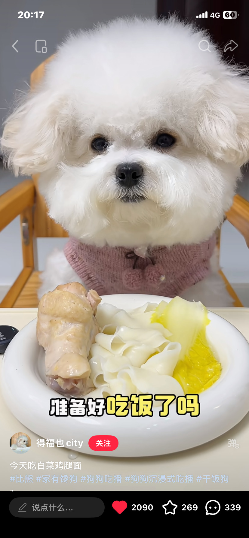 太可爱咯能看一天🥹