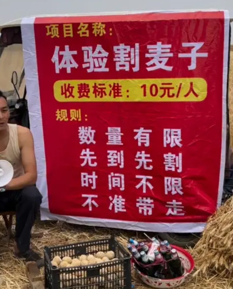 这可真是一箭双带啊