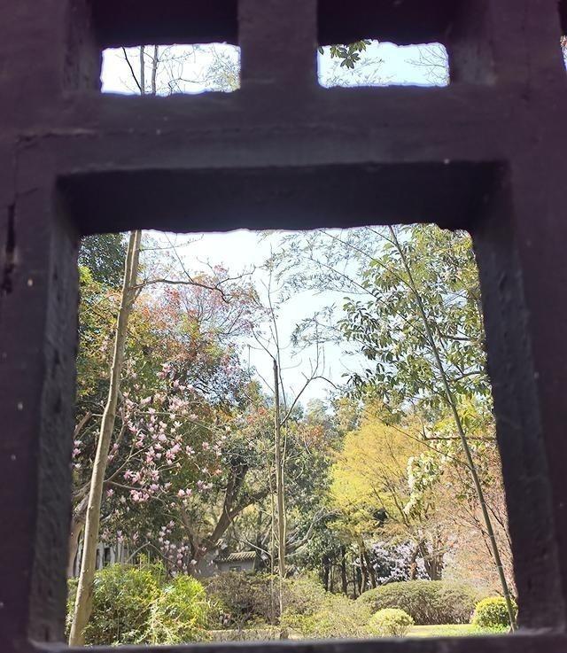很多人拿起手机拍照后，会陷入一个误区：照片看起来普通，就认为问题出在设备上。于