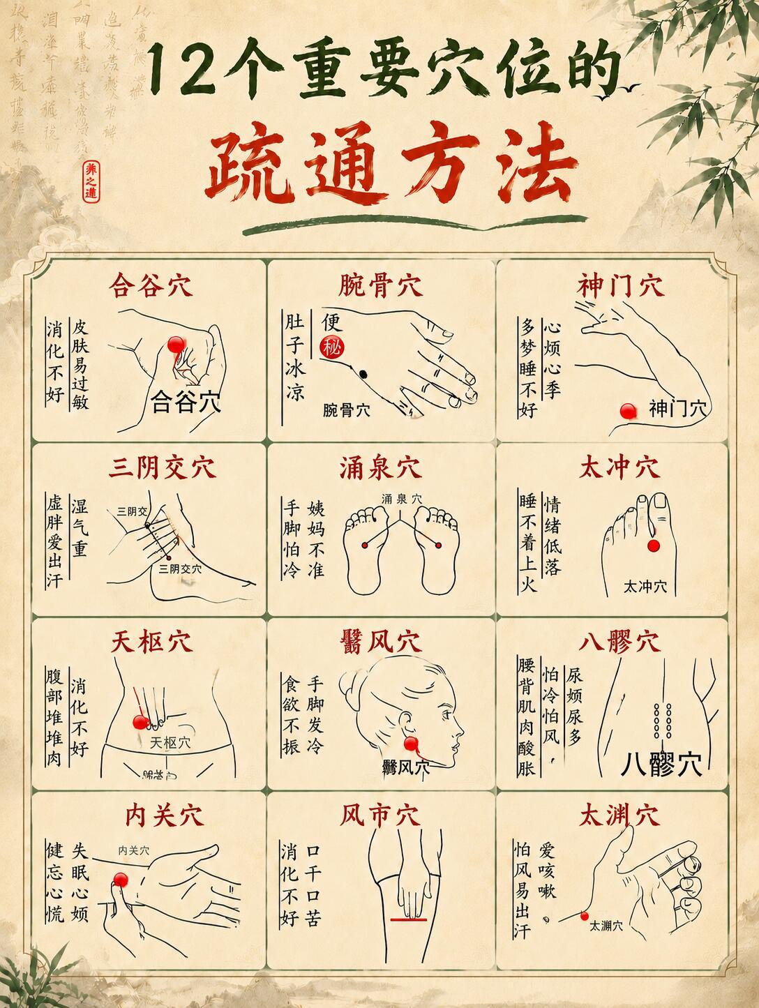 12个重要穴位的疏通方法！太实用了！