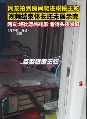 5月29日报道，云南一女子去卧室睡觉，发现衣柜下有动静。她一开始以为是老鼠，小心