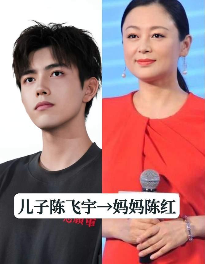 盘点九对明星母子，母亲容貌出众气质绝佳，儿子承袭优良基因，个个俊朗有型，优越的颜