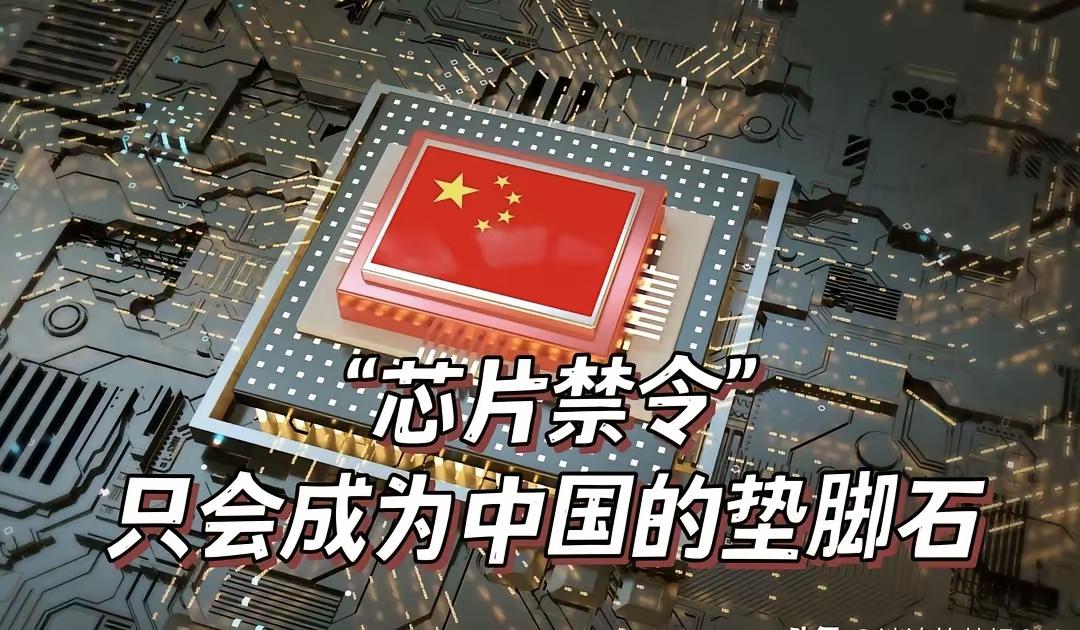 晶圆厂的采购盯着压力表，指针快打底了。日本人的审批单卡了四个月没下来，车间停工一