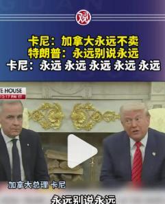 看了特朗普与加拿大总理的对话视频，不得不说，特朗普这货是个语言大师，一直在挑战和