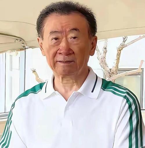 你敢信72岁的王健林，把自己亲手养了7年、正疯狂赚钱的黄金IPHYROX，直接