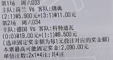 阿豪世界杯：No.1033世界杯荷兰vs瑞典*胜2-13-1No.203