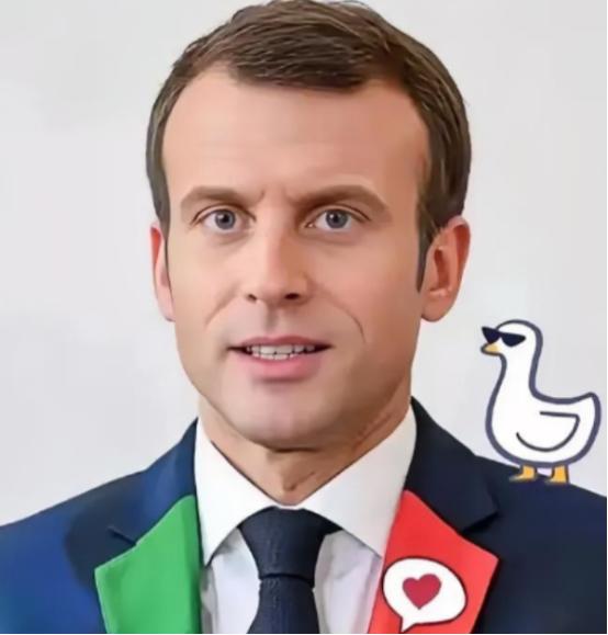 法国总统马克龙宣布。 1月15日，法国总统马克龙宣布了一个令人惊讶的消息，首