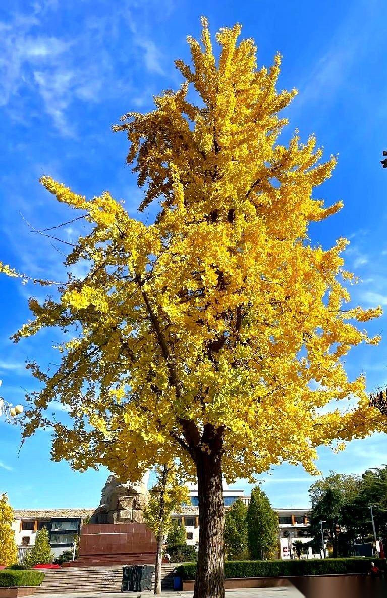 “那行，卡里剩下的钱，全取出来吧，一分不留。”我对着柜台里那个姑娘，笑眯眯地说