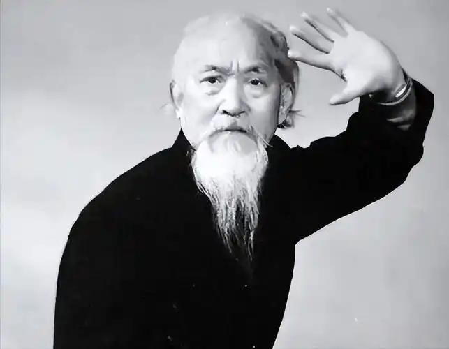 1953年时，傅作义和刘斐两人去看望杜心五，傅开玩笑地问他：“杜老，您还能做武术