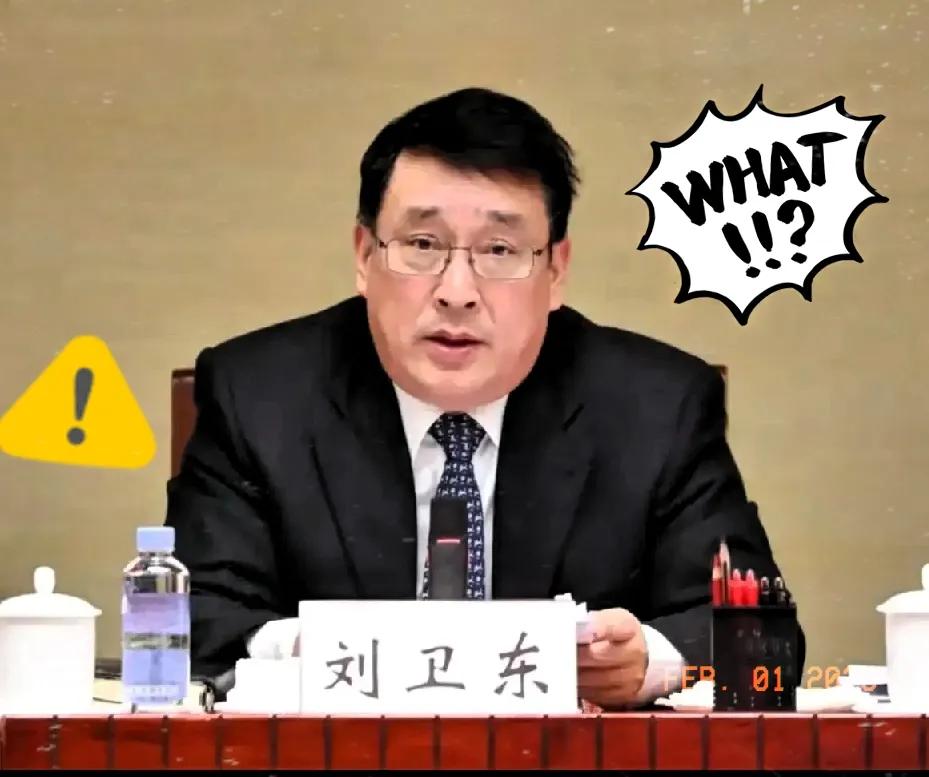 刘卫东的公诉书已经下达，他双开查办也动作很快，但我心里更慌了。刘卫东作为分管