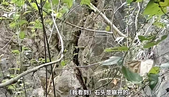 天呀！第一个发现山体崩塌的人因一个举动，错过了救所有人的最佳时机！他在16号