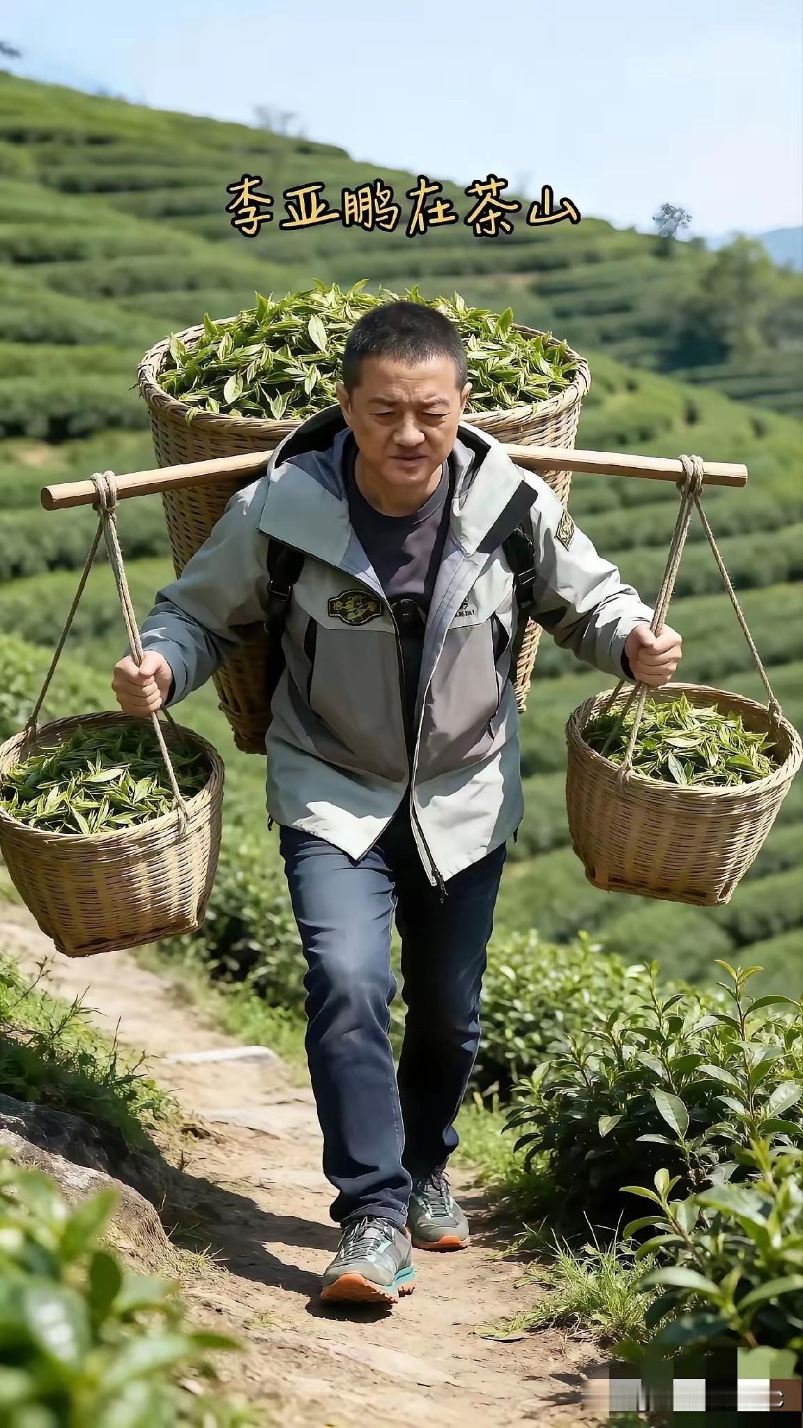 李亚鹏又上热搜了，这次是挑着扁担背着筐，在那哼哧哼哧运茶叶。说实话，如果这照