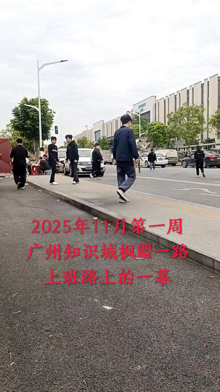 2025年11月第一周，广州知识城枫望一路上班路上的一幕。2025年11月3日