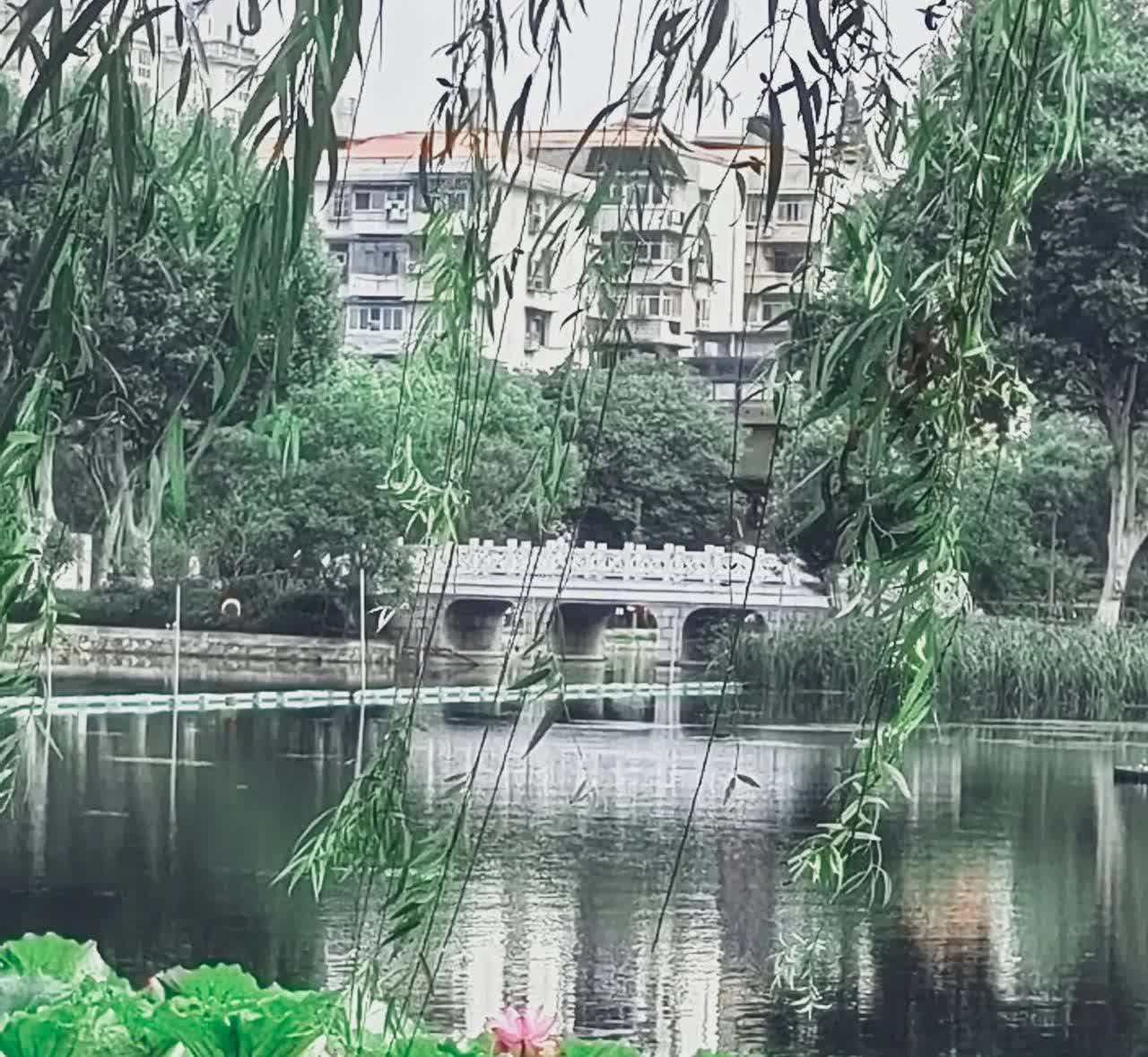 公交司机师傅，下车扶着，看上去有80多岁的老太婆，按顿上车坐下，旁边坐着一位男生