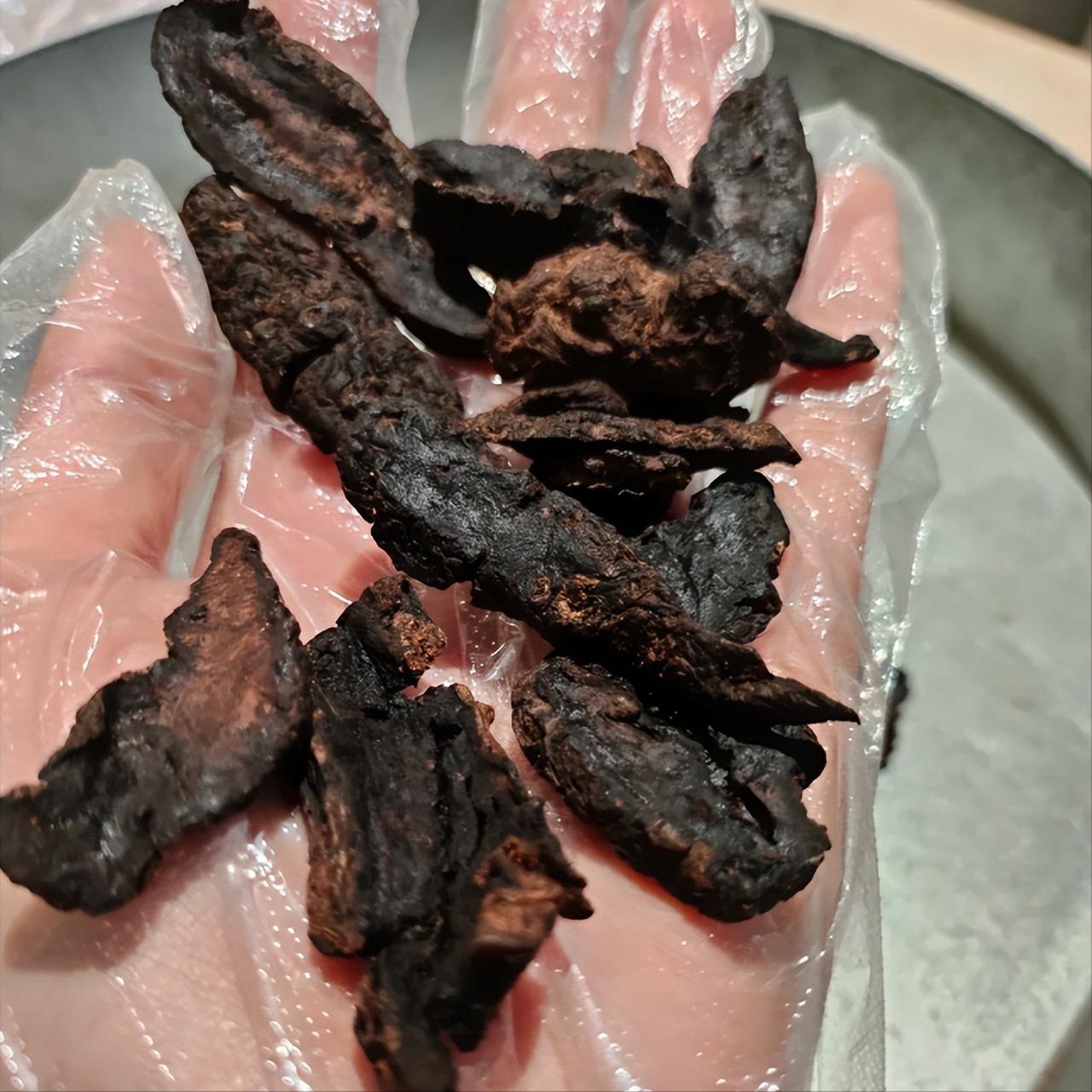 宗筋委软——7味草药一杯饮，只发1次，抓紧存好！大家好，我是陈玉龙，