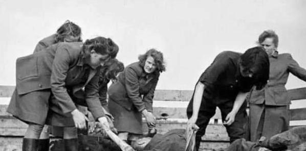 1944年，10岁的双胞胎姐妹被送去了奥斯维辛集中营，每周三次她们会被脱光衣服送