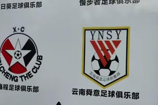云南鲁能泰山？最近有球迷吐槽，云南某球队跟山东泰山的logo一模一样，完全是山