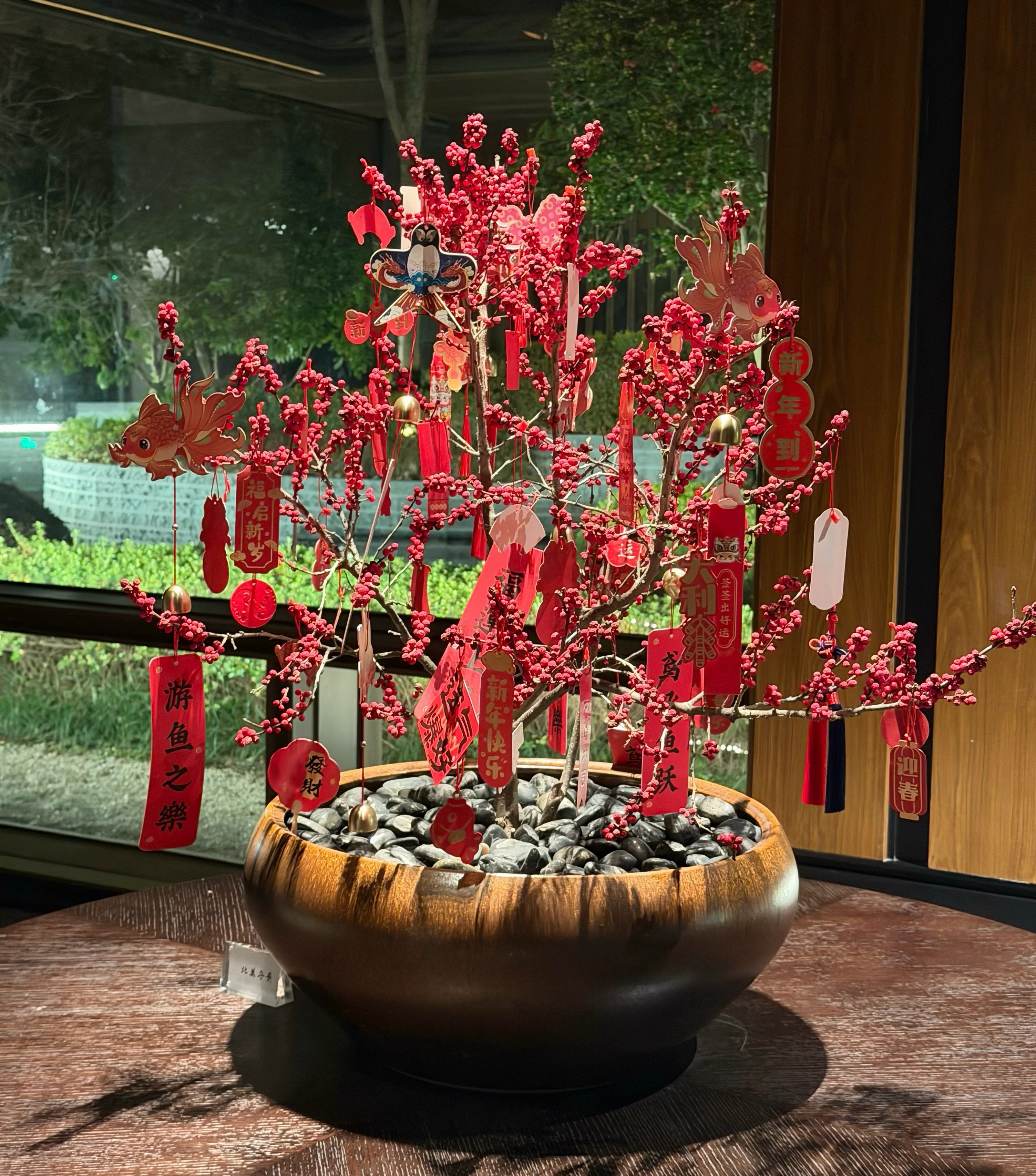 新年快乐！！我的日常plog