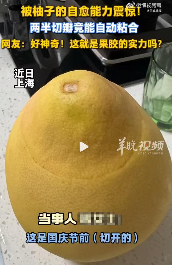 “开眼界了！”2025年10月，上海，一女子将柚子的顶部切下又盖了回去，放进冰箱