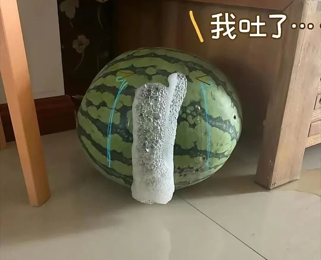 辽宁，一名男子在路边买了两块西瓜，到家后吃了一块，剩下的一块就随手放在了客厅。然