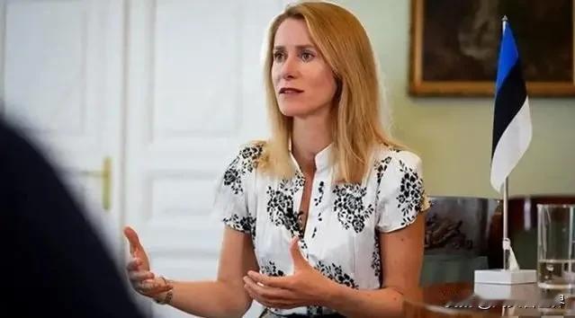 卡拉斯：欧洲国家之所以加入北约，是因为他们不希望俄罗斯入侵或攻击自己这句话听