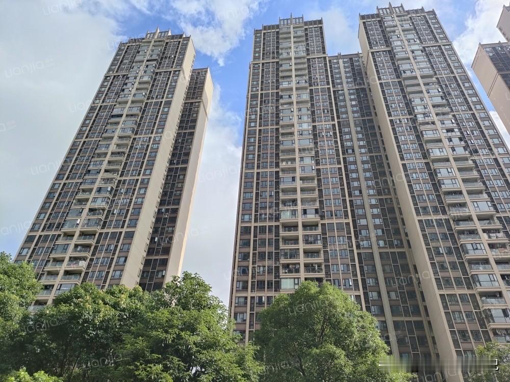 从开盘4.5万到如今2.5万，万博网红盘珠江铂世湾也扛不住了讲真，看到珠江铂