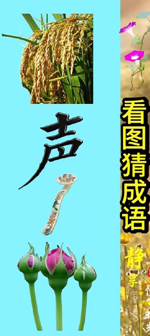 枸杞+稻子+“声”+勺+花，这到底是什么神仙成语？