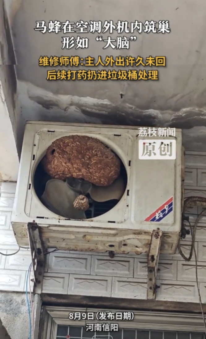 “太可怕了！”8月7日，河南信阳，一男子外出5年没回过家，到家后发现空调不好用了