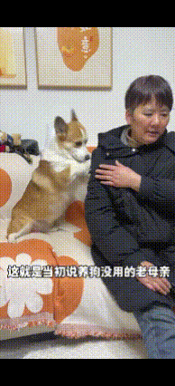 见过人按摩的，见过机器按摩，头一回见狗狗给人按摩的。腿虽断，但是力气不小，一脸认