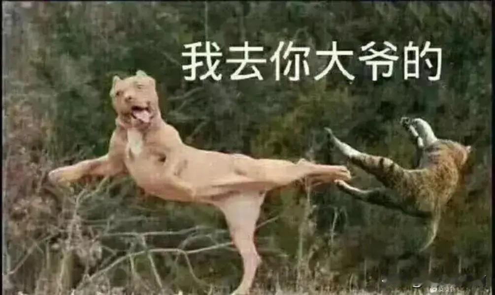 我小时候隔壁邻居家儿子因为抢劫坐牢了。全家都隐瞒着说他去了外地干活了。不说是