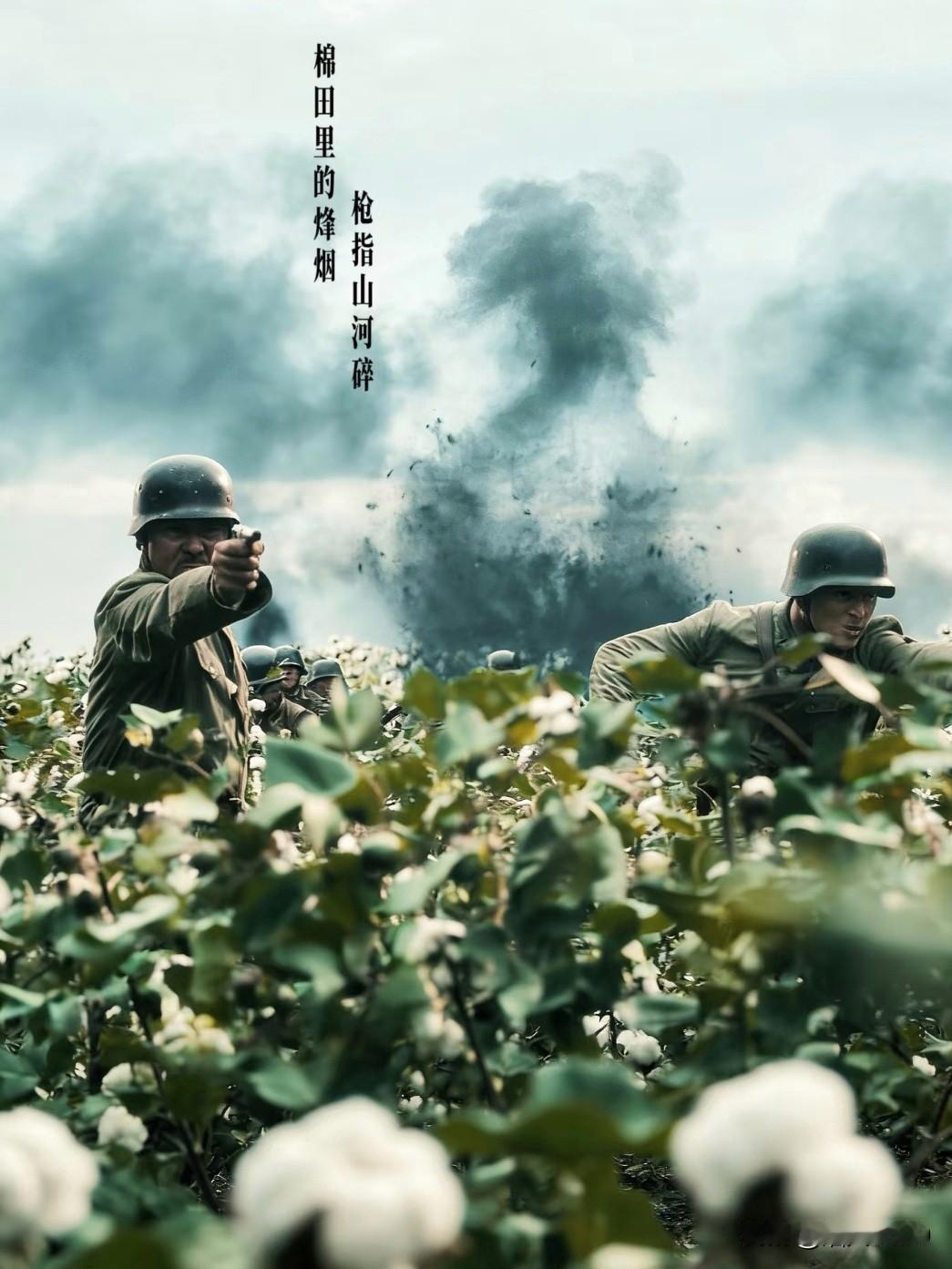 《八千里路云和月》有人说编剧瞎编，上海哪有大面积棉花种植？特地查了一下，才知道