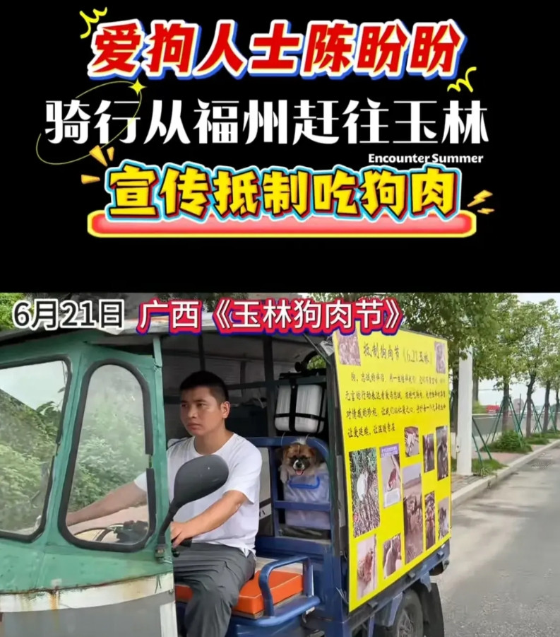 陈盼盼爱狗人士，抵达玉林宣传抵制吃狗肉你怎么看？陈盼盼千遥万远，从福州自动骑车