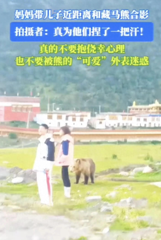 “这胆子也太大了！”西藏那曲，一对母子游玩时遇藏马熊，不仅不躲避，反而下车凑近想