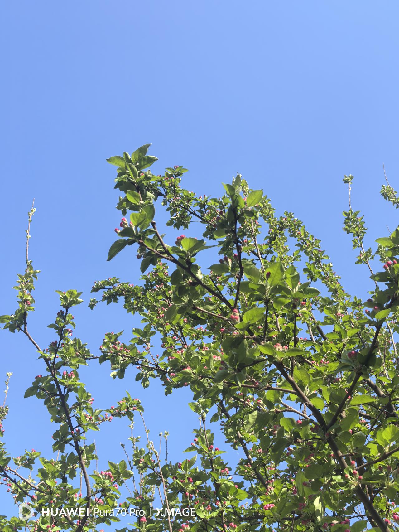 退休后我被拉进了单位的退休人员群，这个群退休人员加单位工作人员有170多人，算个