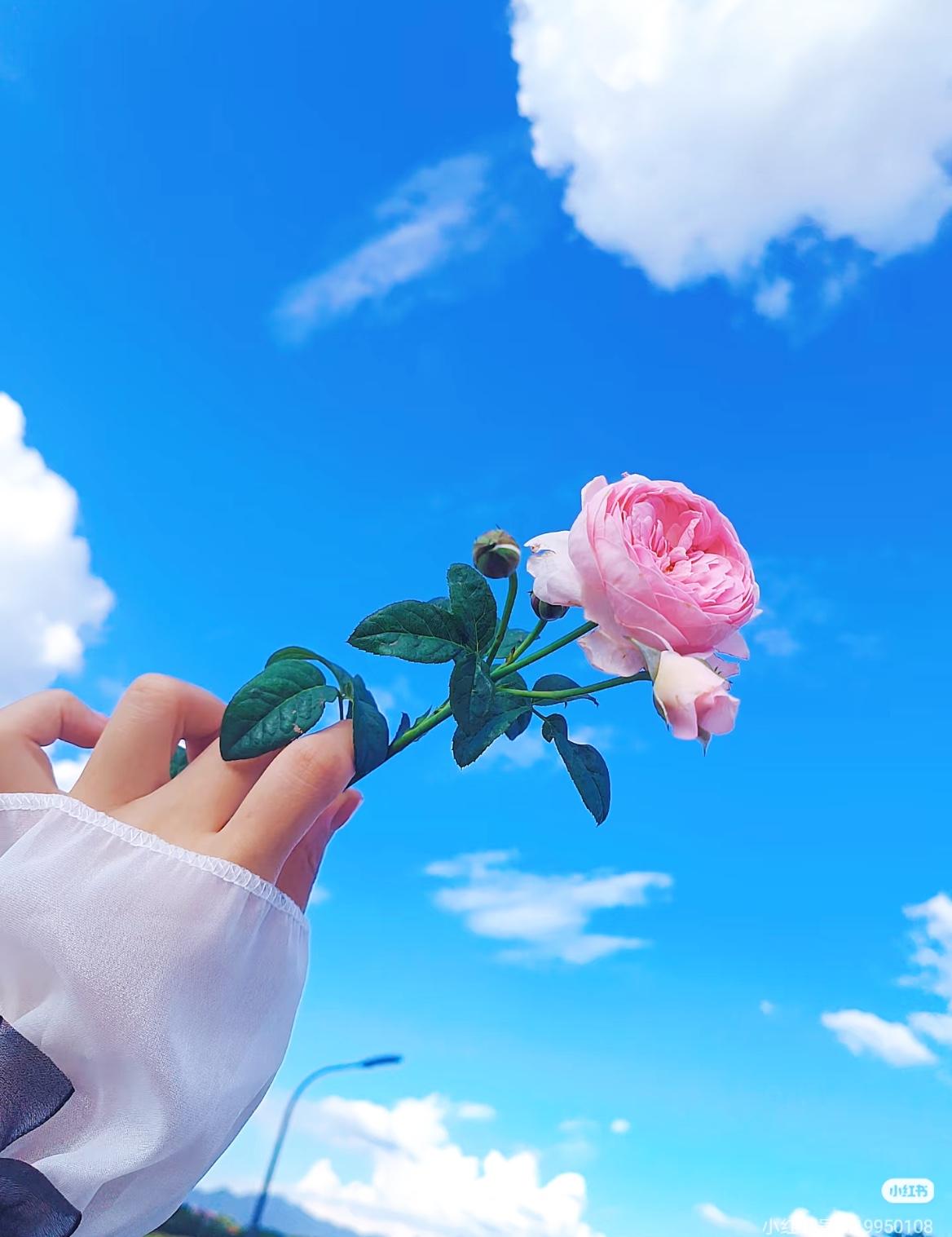 一个人最好的状态其实就是：看着老实巴交，心里谁也不服，看着随和好说话，其实谁也