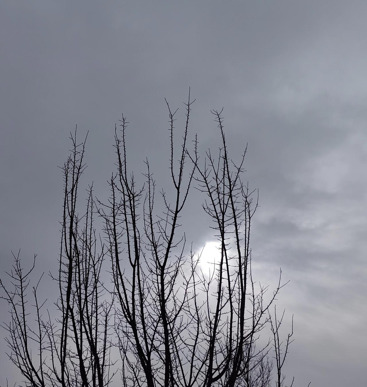 据传，南博退休院长徐某已被带走调查。有意味的是，公安先在其家别墅周围“停”了一