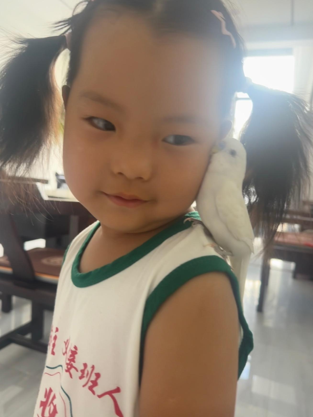 怎么那么可爱