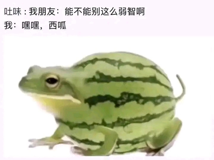 能不能别这么弱智啊