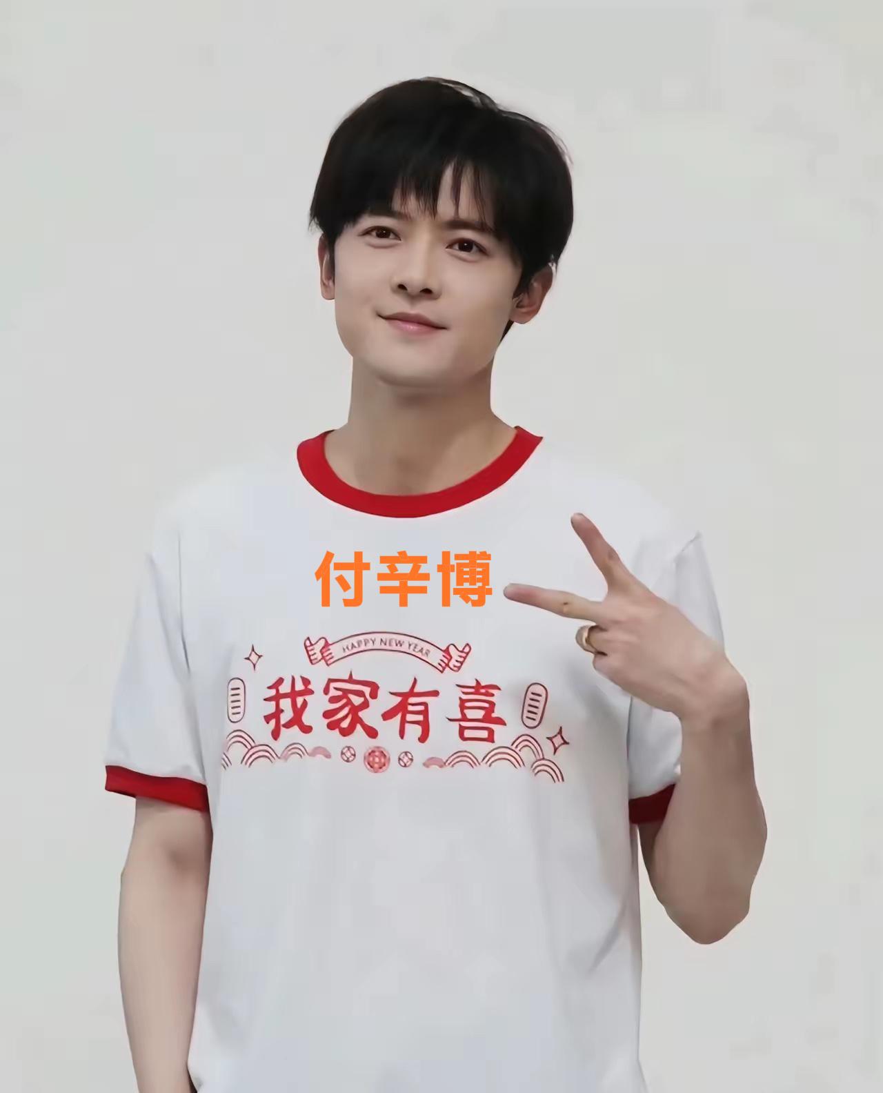 《四集角色火出圈，观众不舍求加戏，剧组回应引热议。》最近电视剧《四喜》让付辛