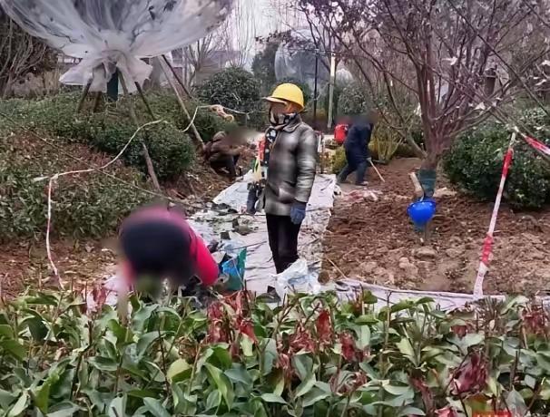 干了大半年绿化，小区业主早就开开心心住进去了，结果12个农民工兄弟的32万血汗钱
