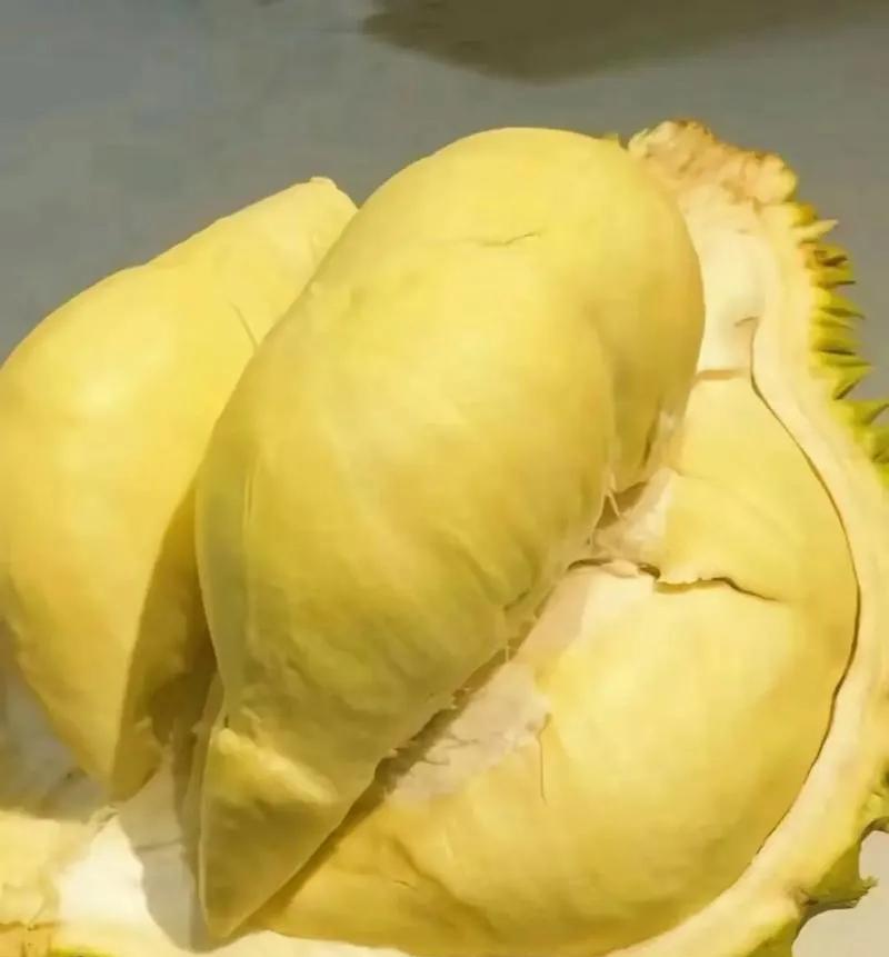 说穷人都觉得榴莲好吃，其实有点道理。榴莲味道独特，果肉软糯香甜，营养还丰富，对很