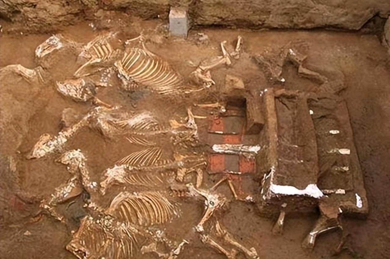 “这简直是丧尽天良，没有人性！”1976年，西安挖出秦始皇女儿墓，墓中惨状，就连