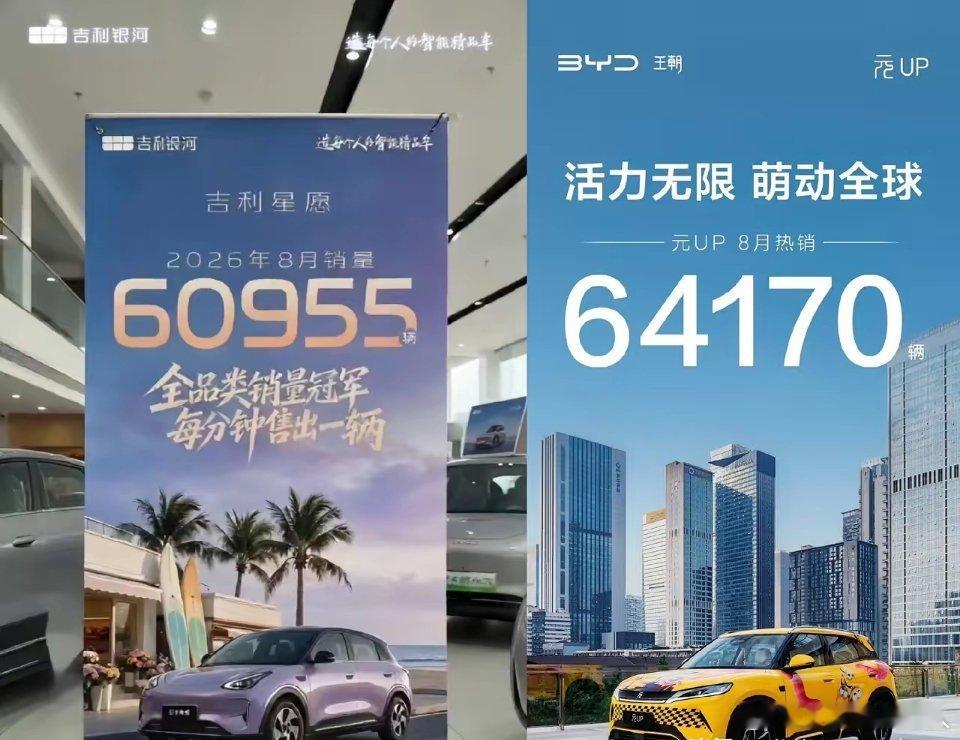 元UP不知不觉销量已经反超星愿了。其实上个月就完成反超，只是星愿一直自称单车型销量第一。非要把DM和