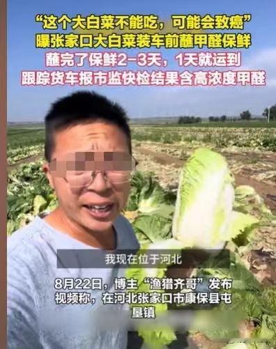 会致癌的白菜！河北张家口，男子看到装大白菜的挂车，每辆车在装车之前，都给大白菜蘸