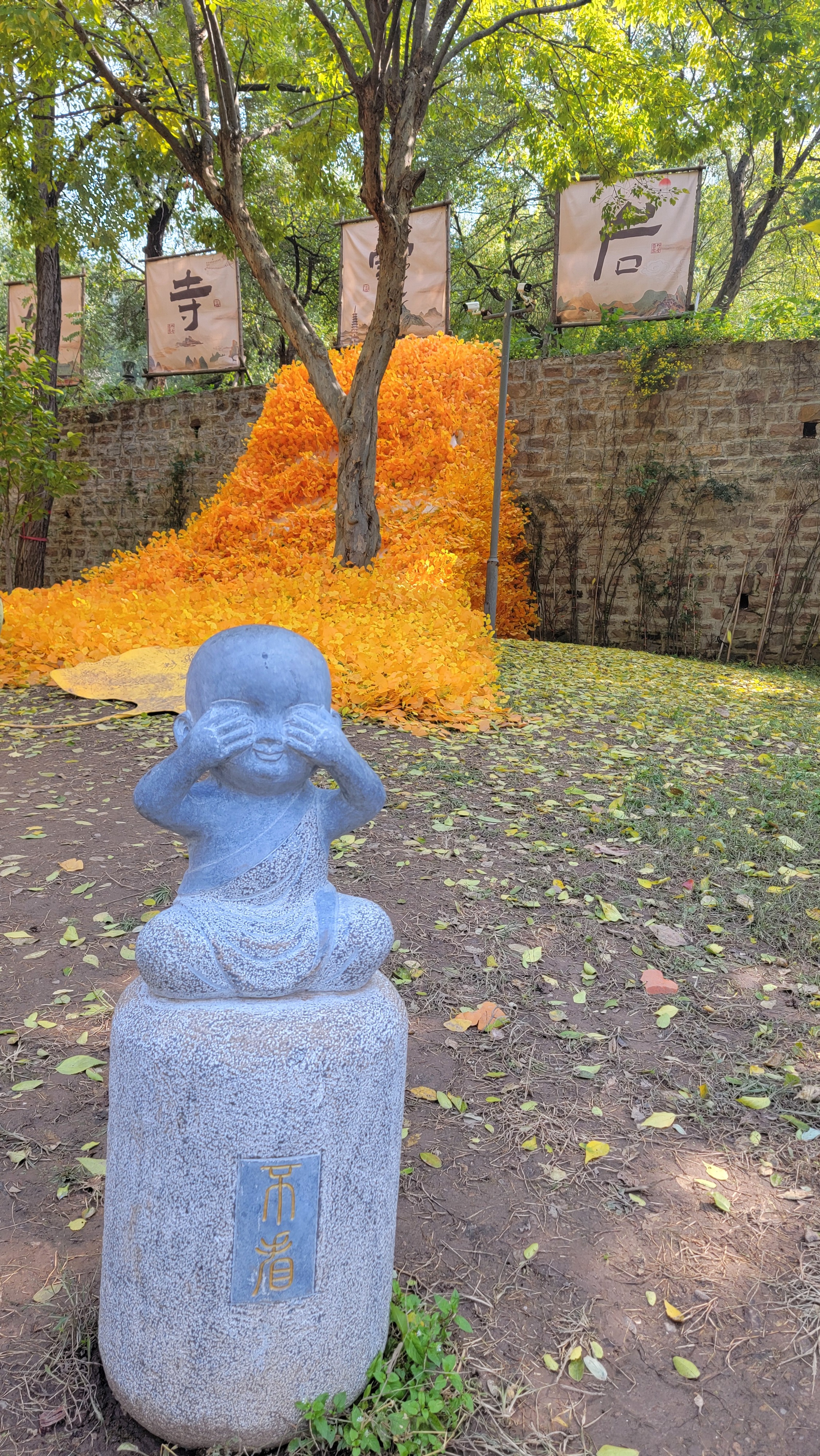 皮肤病,一个3味药的小方子有奇效!有一个词语叫什么?躲雨。这意思是天上下雨,我