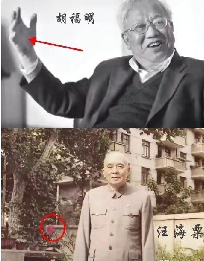 南博这出戏，比剧还敢编查一幅古卷，竟牵出汪海粟的猫腻。时间线细思极恐