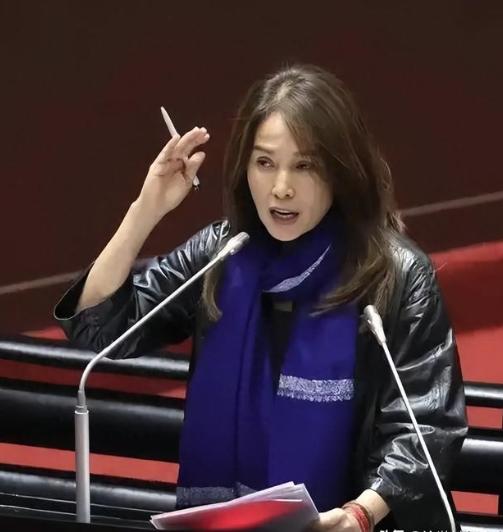 赖清德为什么要抓高金素梅？2月10日，无党籍“立委”高金素梅的办公室和住宅及相关